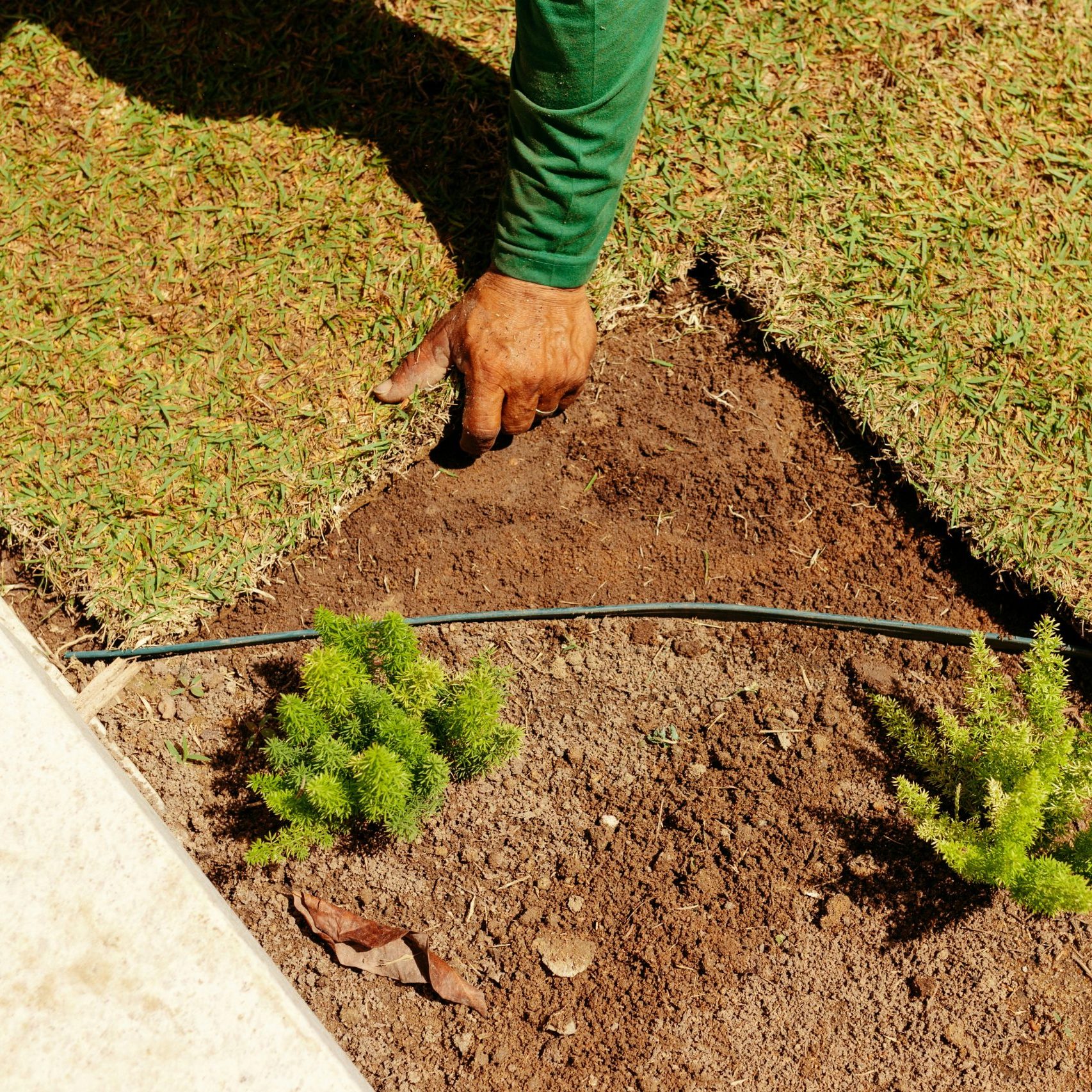 MB Reinigungsdienst Gartenservice